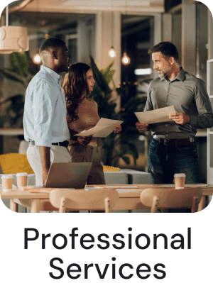 Professional Services